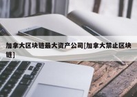 加拿大区块链最大资产公司[加拿大禁止区块链]